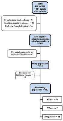 Valproate Use Is Associated With Posterior Cortical Thinning and Ventricular Enlargement in Epilepsy Patients